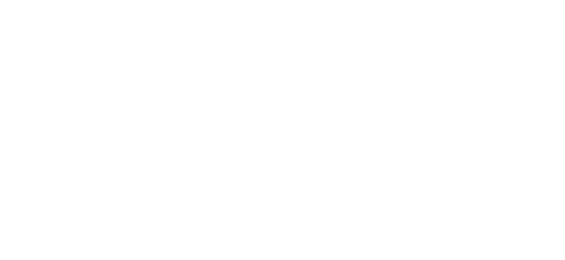 سیکیور پے logo